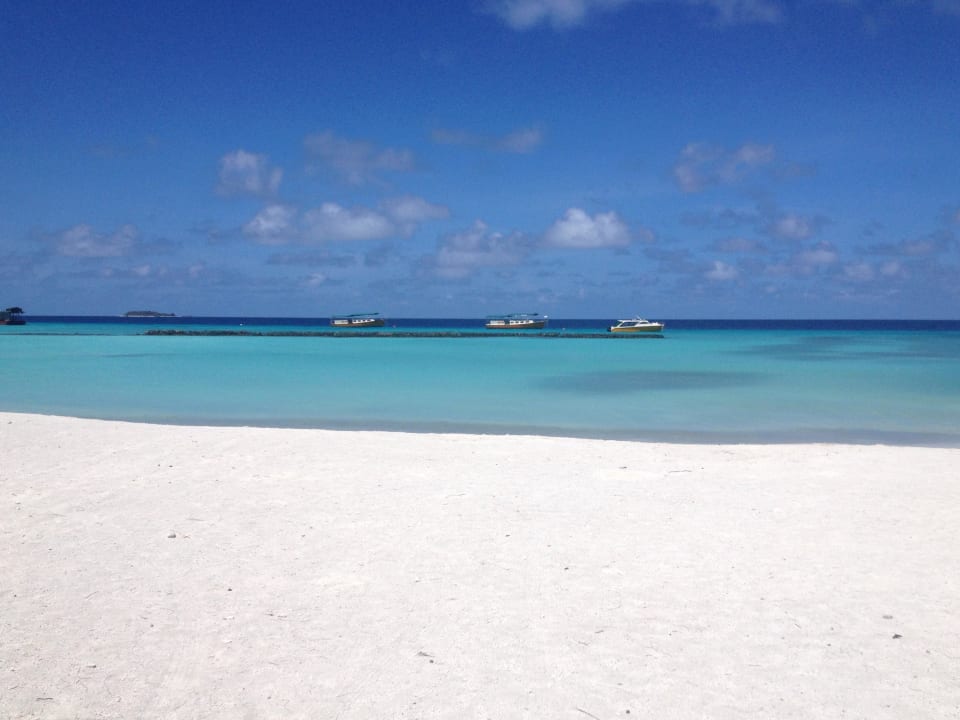 zum träumen Summer Island Maldives