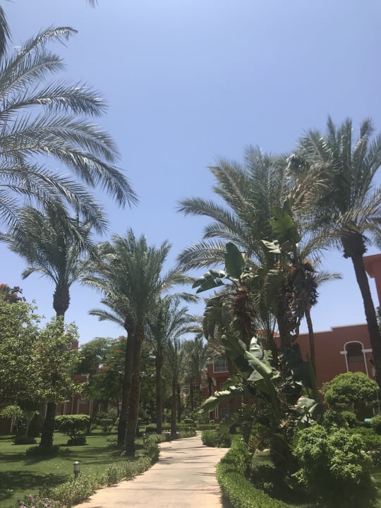 Gartenanlage Sentido Caribbean World Soma Bay