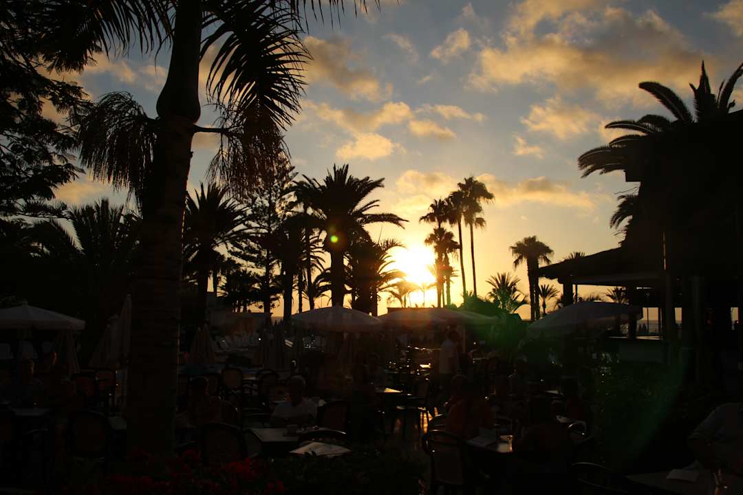 Hôtel H10 Las Palmeras - La Vue 2013 H10 Las Palmeras