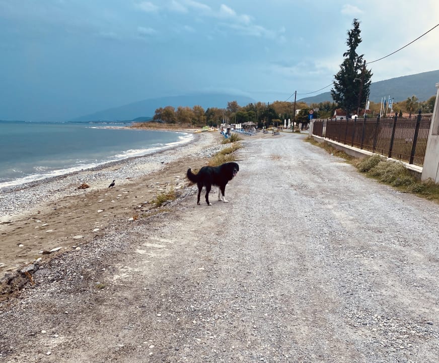 Strand alltoura Club Hotel Poseidon Palace