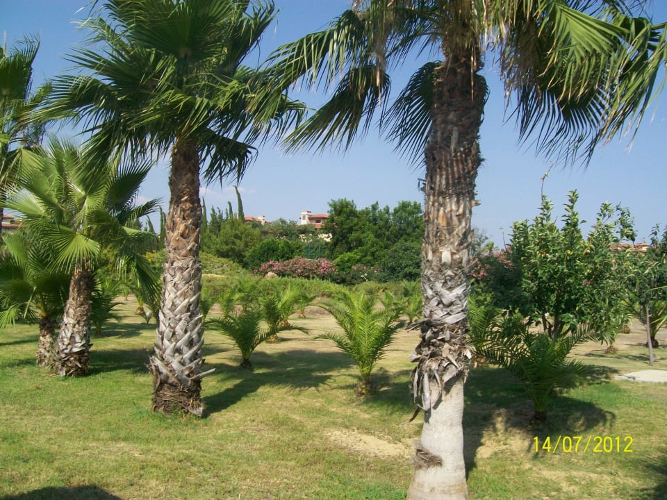 Gartenanlage Club Grand Aqua