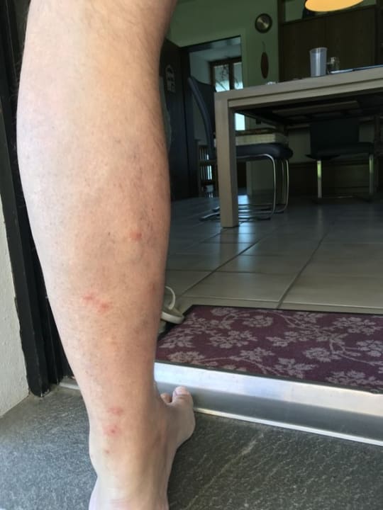 Zimmer Harmony Crest Resort & Spa