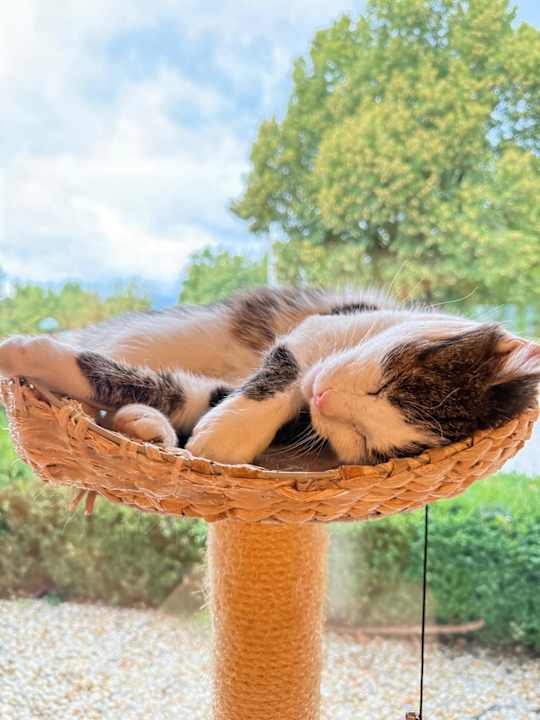 Lobby RETTER Bio-Natur-Resort