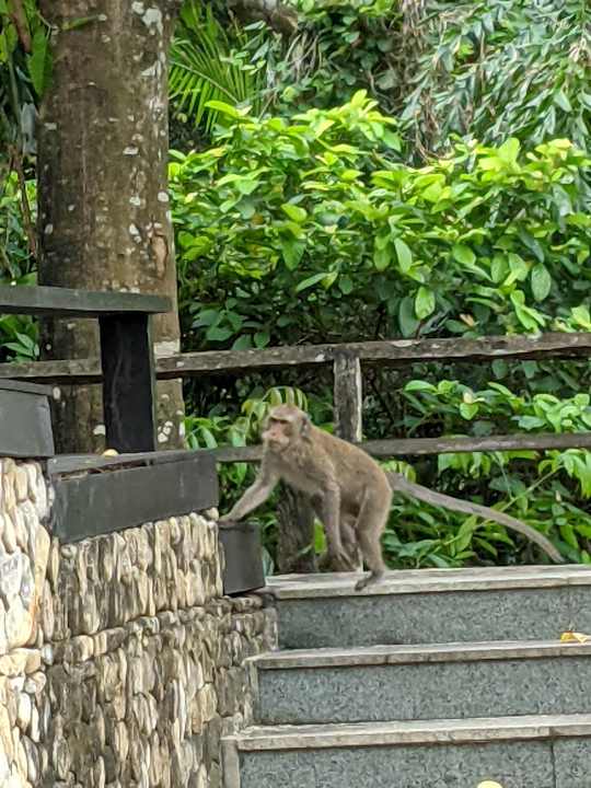 Sonstiges SYLVAN Koh Chang