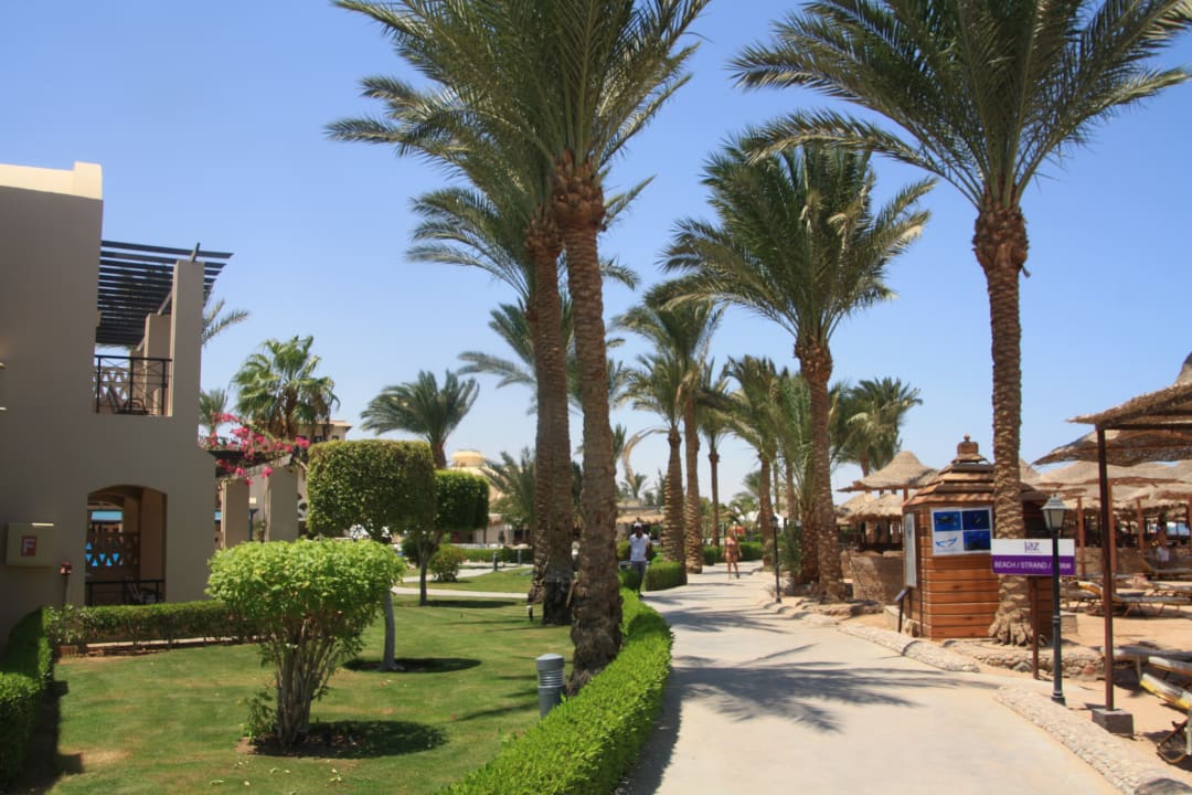Garten Jaz Makadi Oasis Resort