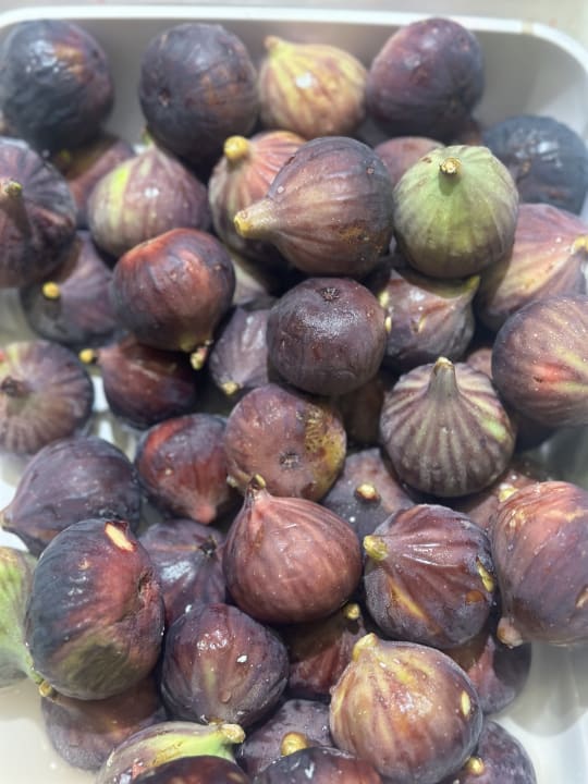 Gastro Rixos Premium Tekirova