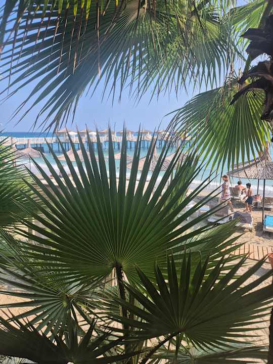 Strand Seven Seas Palmeras Bay Alanya