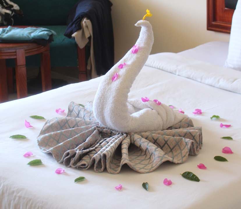 Zimmer Coral Hills Resorts & SPA