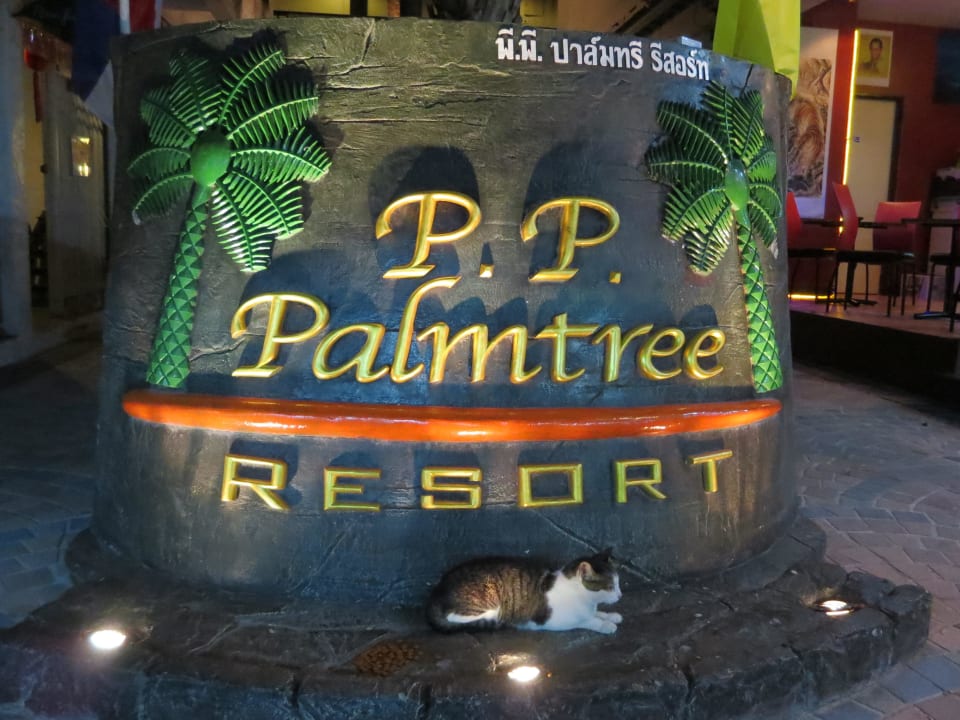 Eingangsbereich mit Kätzchen P.P. Palmtree Resort