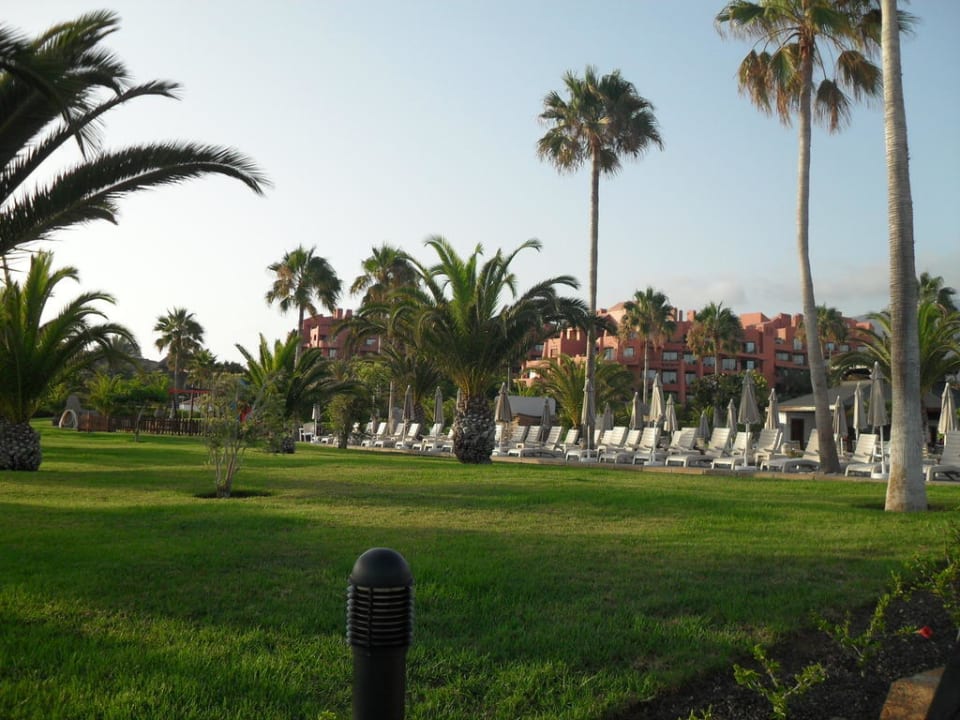 Garten vor den Pools Hotel Riu Palace Tenerife