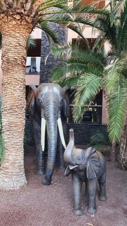 Sonstiges Lopesan Baobab Resort