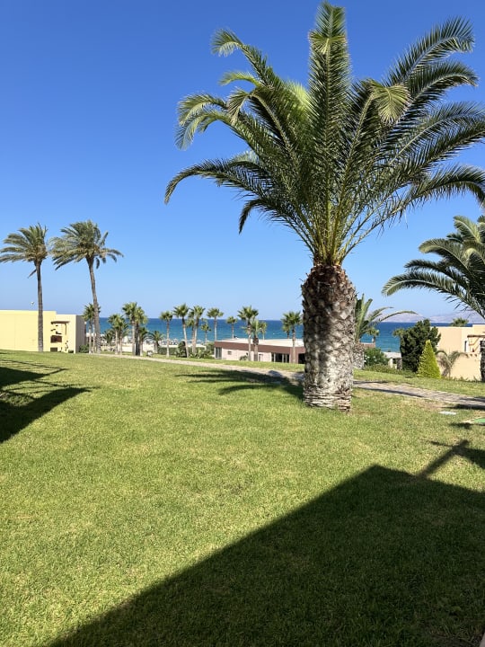 Gartenanlage Hotel Horizon Beach Resort