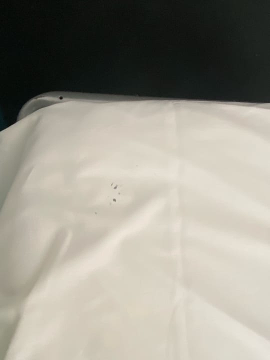 Zimmer Alcudia Garden Aparthotel