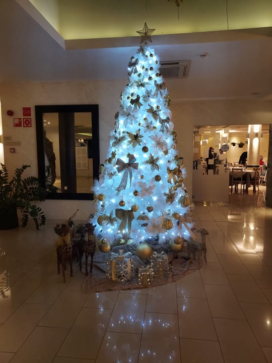 Zimmer allsun App.-Hotel Albatros