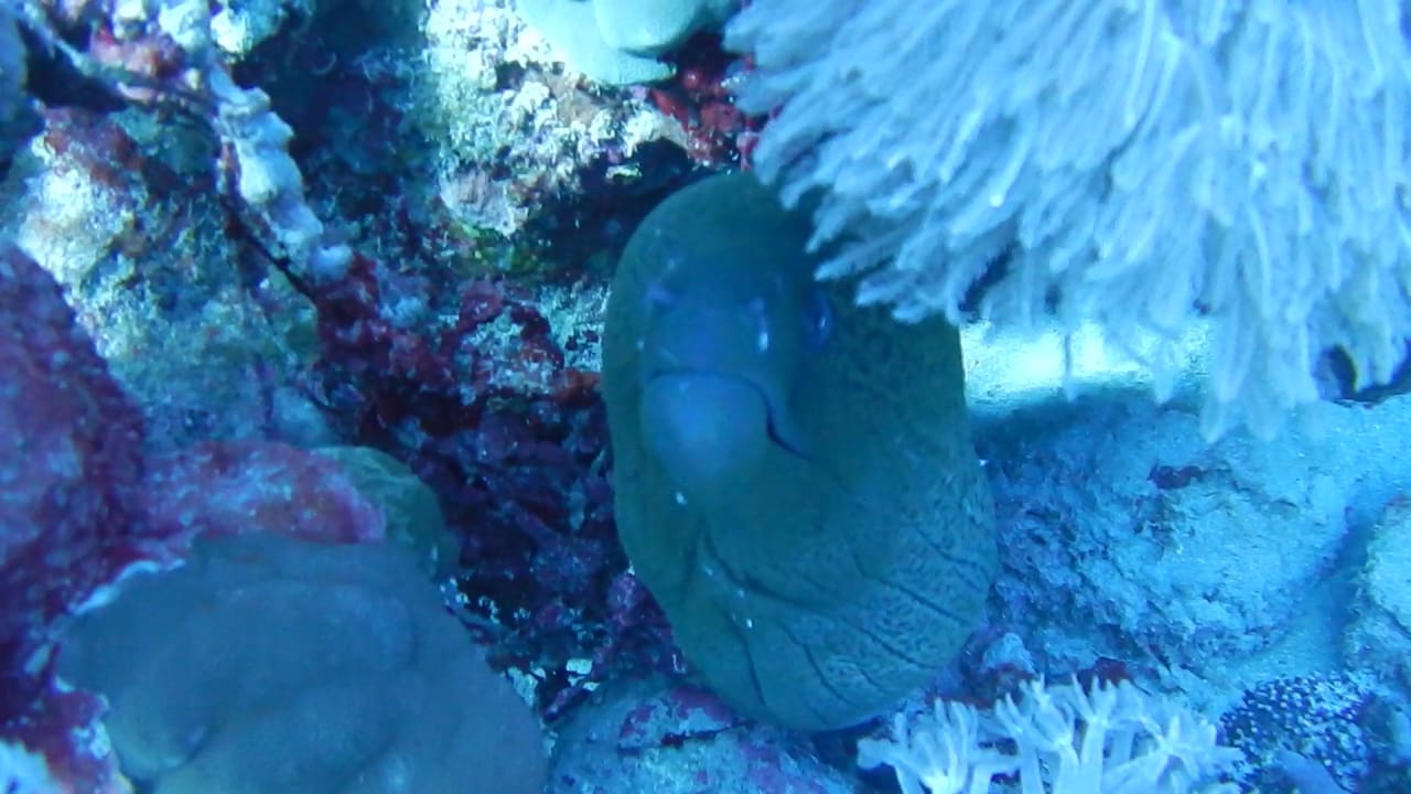 Sport & Freizeit Rohanou Beach Resort