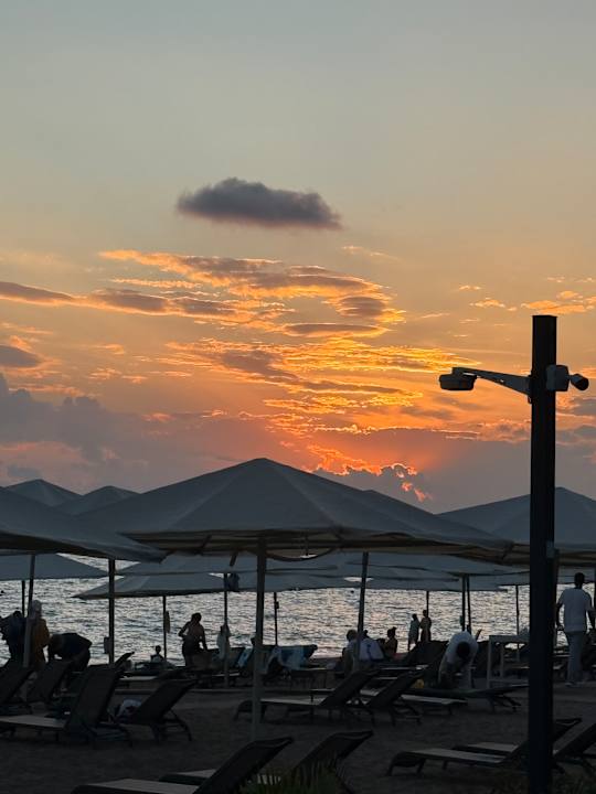 Außenansicht Paloma Finesse