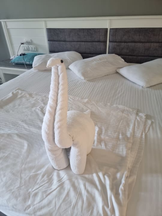 Zimmer SUNRISE Garden Beach Resort