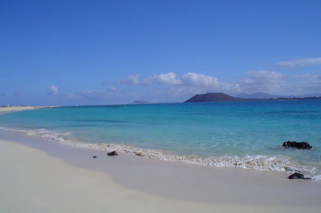 Strand - Blick auf Los Lobos Hotel Riu Oliva Beach Resort