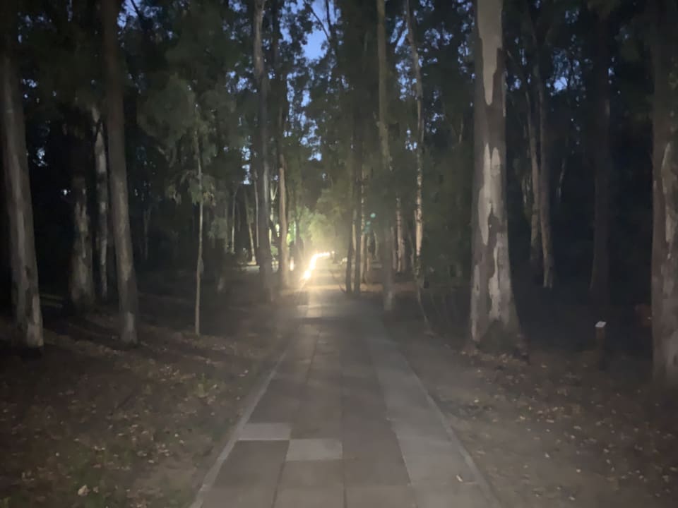 Gartenanlage TUI MAGIC LIFE Calabria