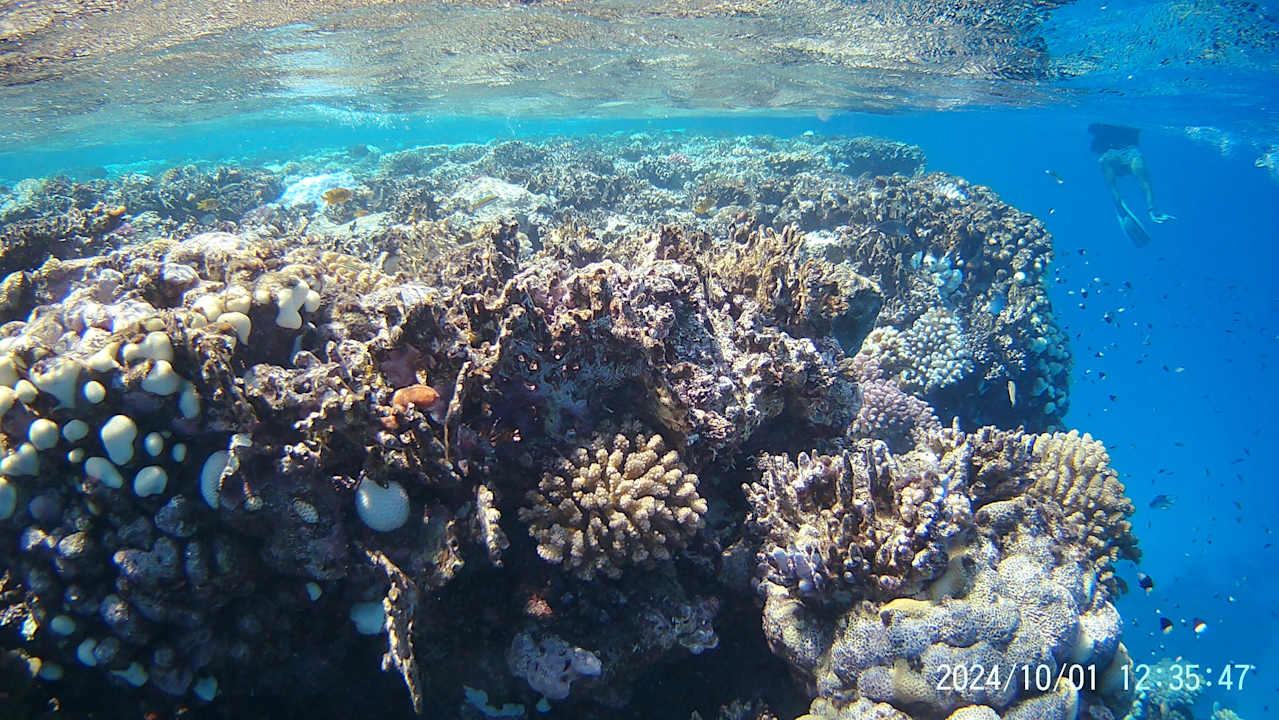 Strand Three Corners Happy Life Beach Resort