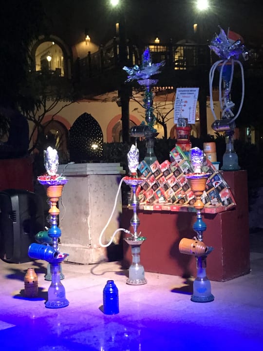 Sonstiges Ghazala Gardens