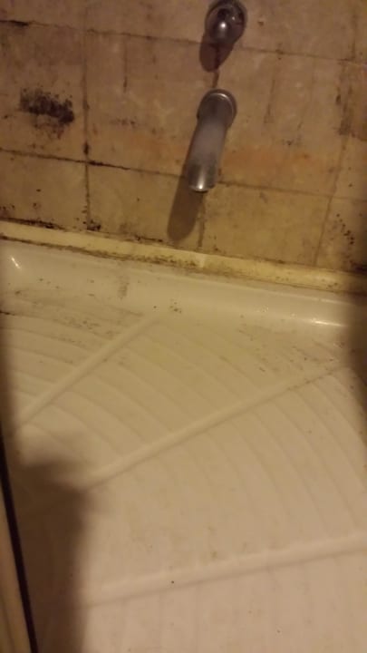 Wellness- und Saunabereich Side Alegria Hotel & Spa - Adults only +16