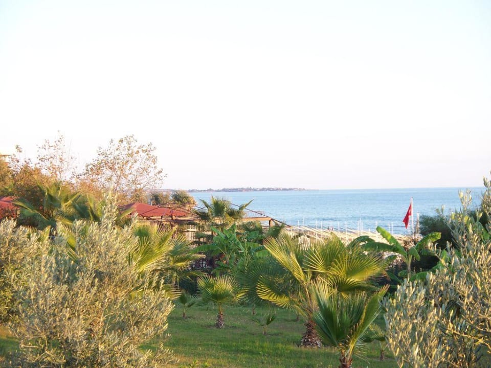 Aussicht aufs Meer Alba Resort Hotel