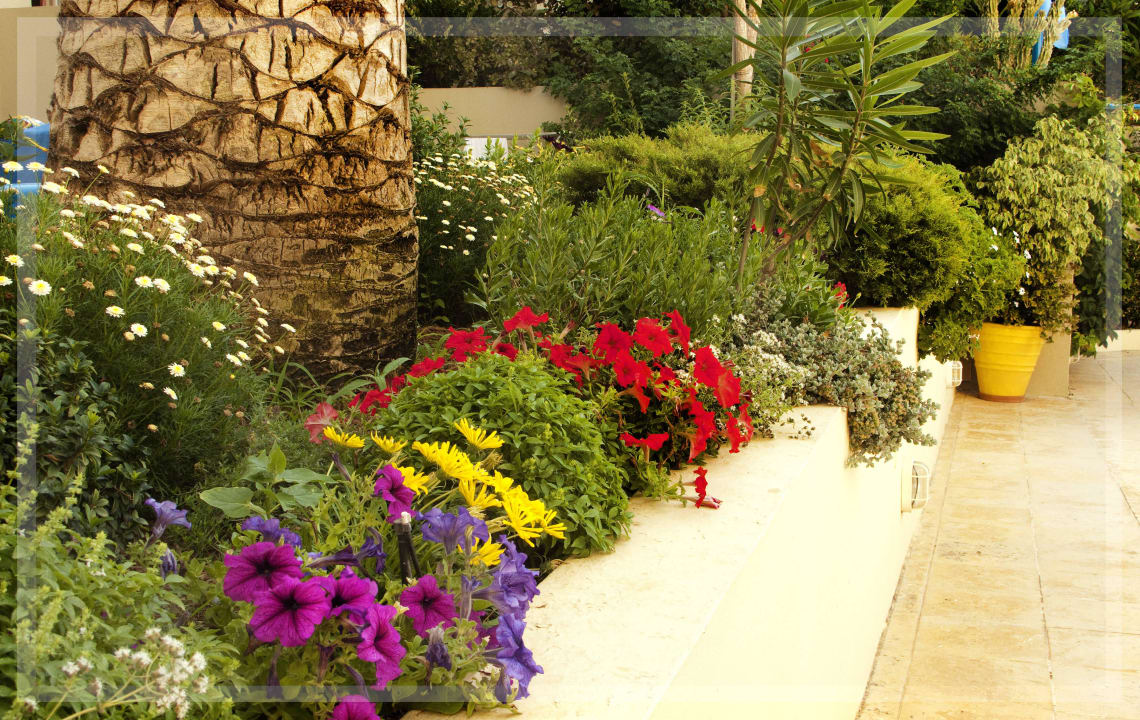 Terrace & Garden Ibiscos Garden Hotel
