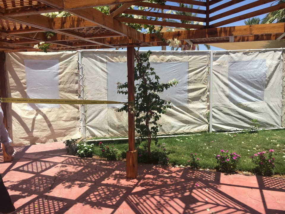 Sonstiges Desert Rose