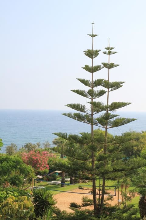 Seitlicher Meerblick aus dem Zimmer 229 Crystal Springs Beach Hotel