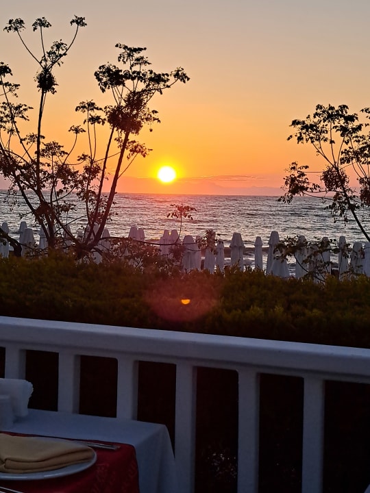 Gastro Can Garden Beach