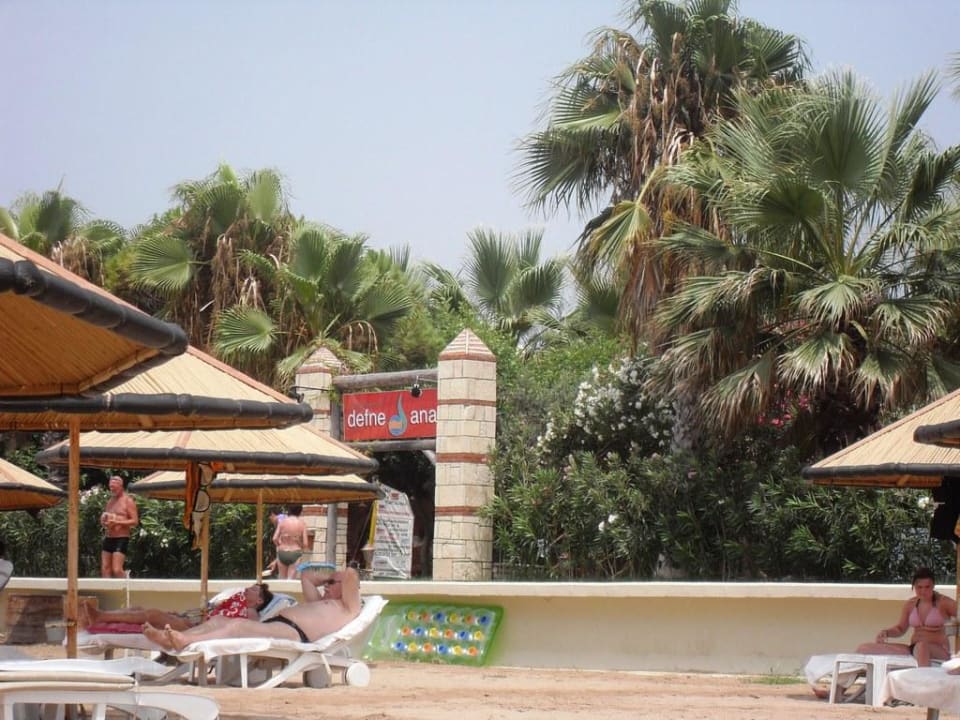 Riesenpalmen Hotel Defne Ana