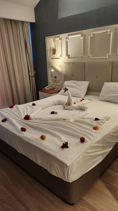 Zimmer Well Palace Side