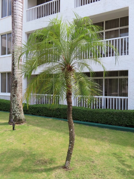 Gartenanlage Viva Heavens by Wyndham - All Inclusive Resort