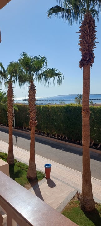 Ausblick Pickalbatros Palace Resort