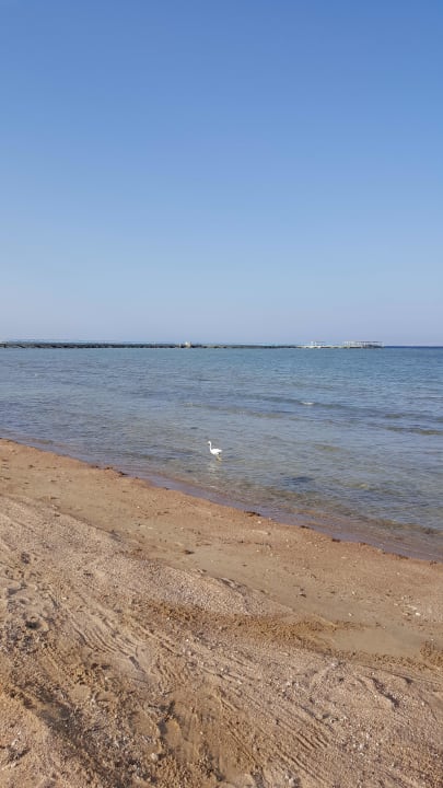 Strand Pharaoh Azur Resort