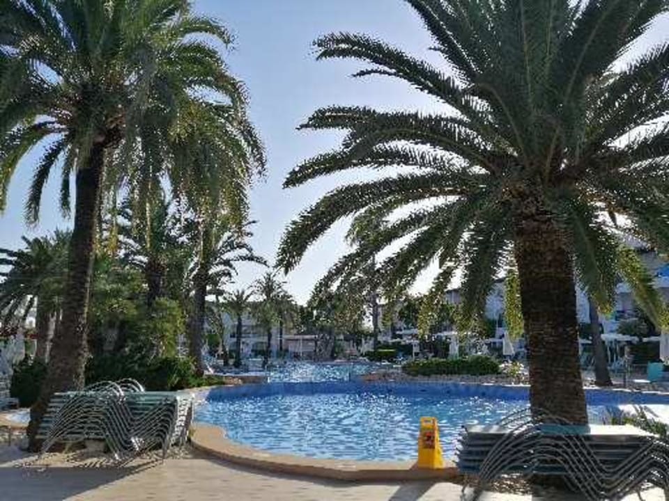 Pool Alcudia Garden Aparthotel