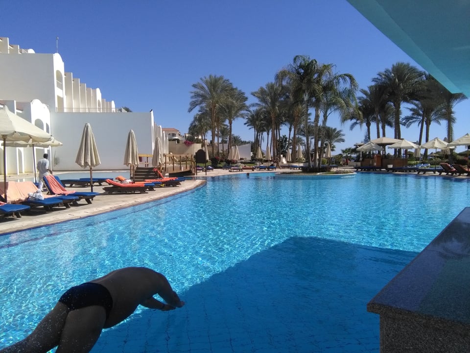 Pool Siva Sharm
