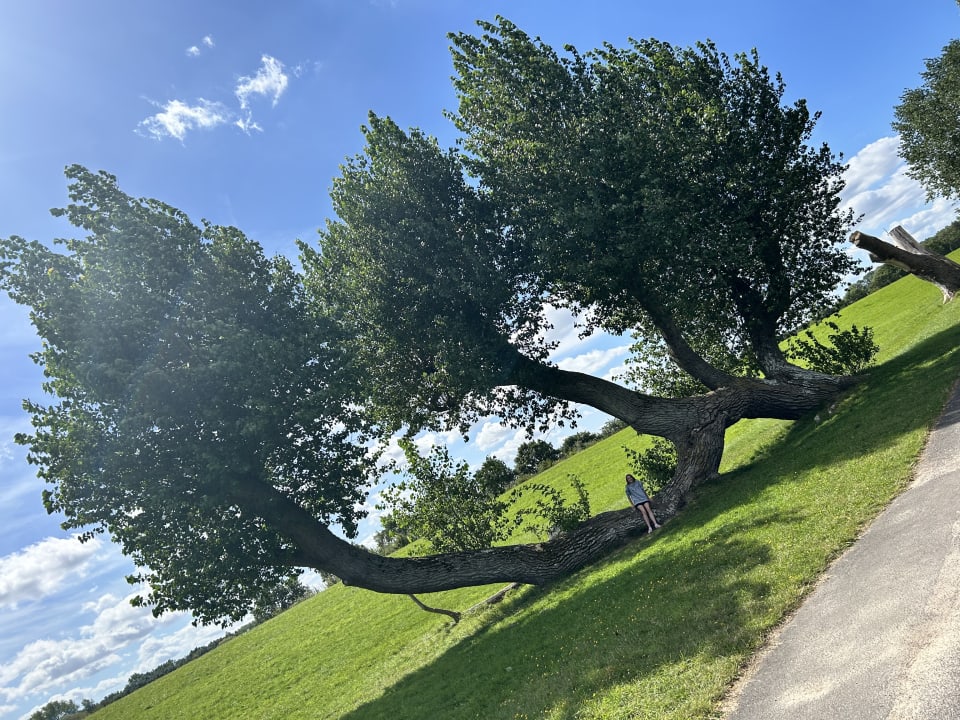 Sonstiges Ferienwohnungen Ferienpark Weissenhäuser Strand