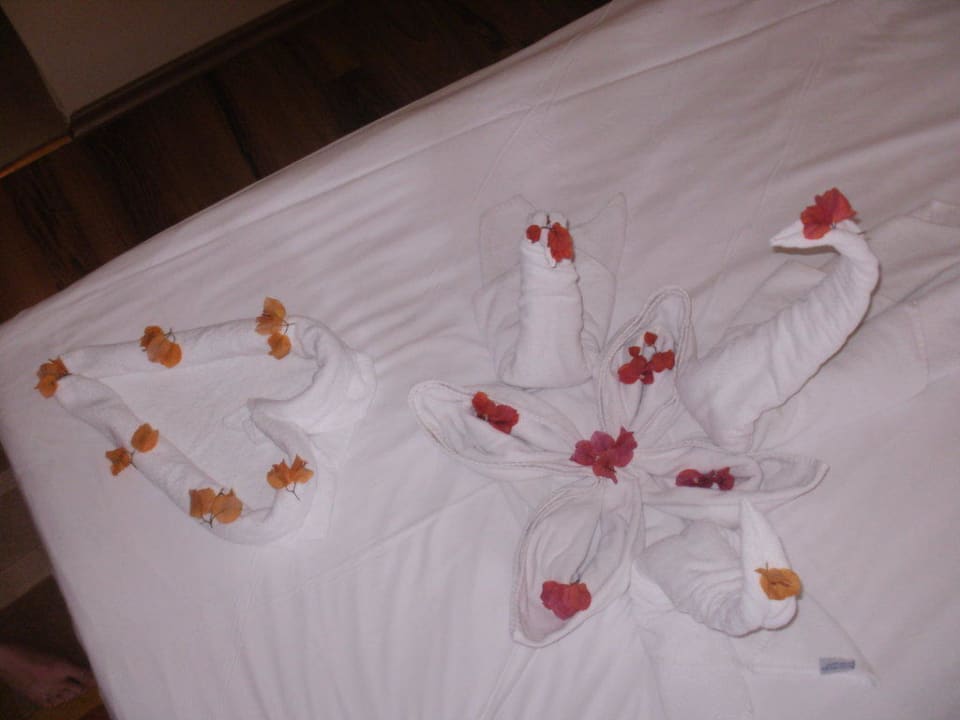 Ein tolles Bett Oz Hotels Incekum Beach