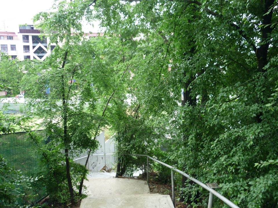 Und nochmal Sport HVD Viva Club Hotel