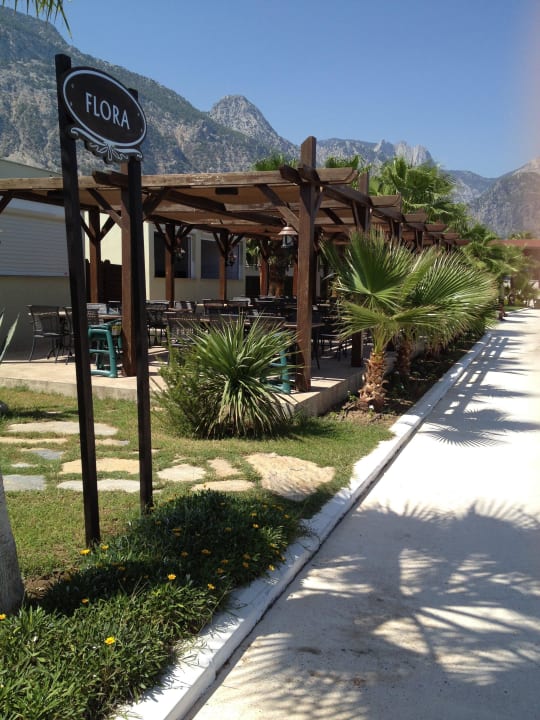 Anlage Crystal Flora Pearl Collection