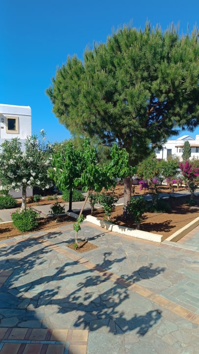 Gartenanlage TUI SUNEO Chrissi Amoudia