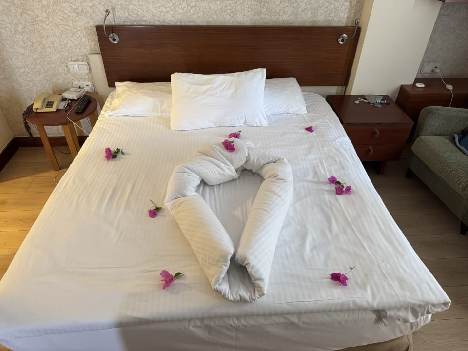 Zimmer Side Star Beach