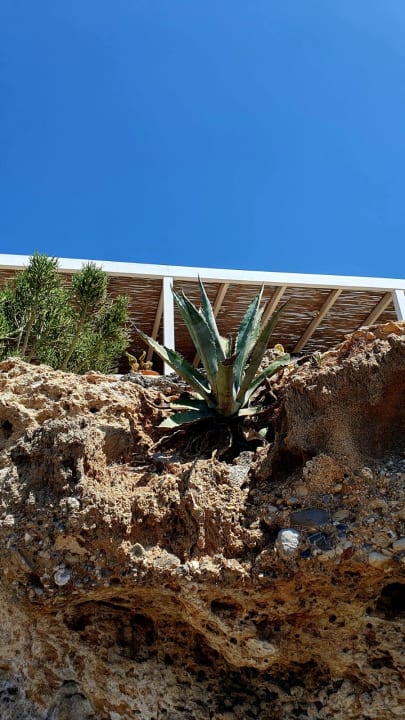 Außenansicht Kakkos Beach Hotel