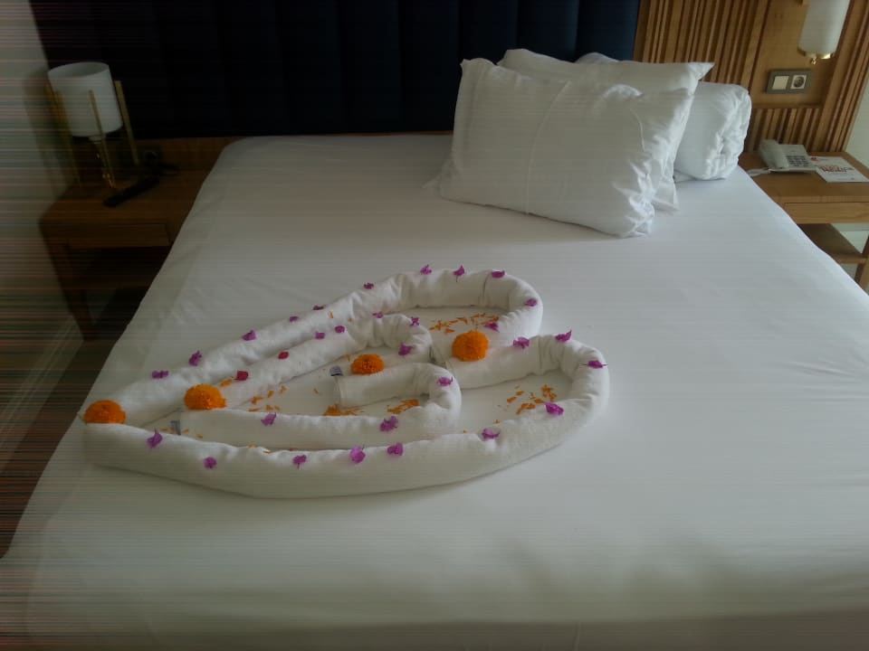 Zimmer Sidemarin Kirman Premium