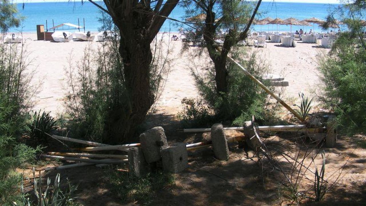 Müll am Strand und im Garten Hotel Calypso Beach