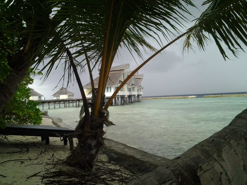 Blick vom Bungalow Ellaidhoo Maldives by Cinnamon