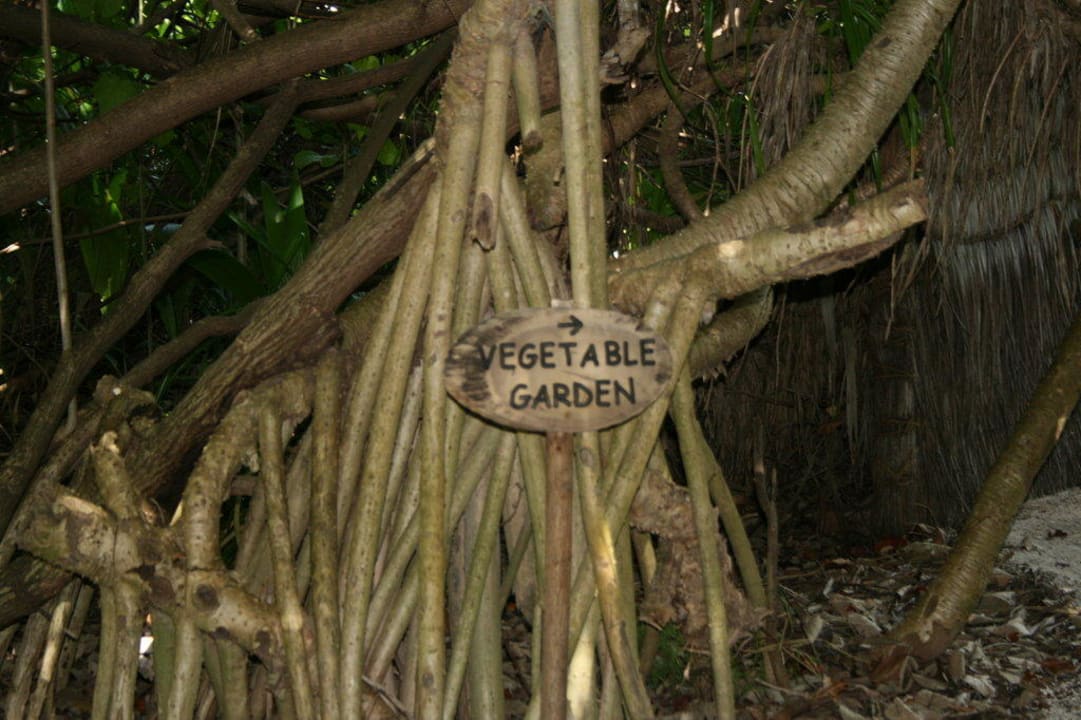 Weg zum biologischen Garten Gili Lankanfushi Resort