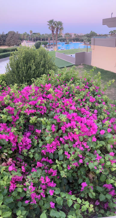 Pool Kresten Palace Hotel